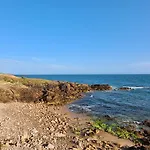 A L'ombre Des Pins, Neuf, Elegant, Parking Gratuit, Netflix, Au Calme A 100m De L'ocean Apartment *