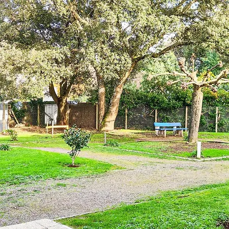 A L'ombre Des Pins, Neuf, élégant, Parking Gratuit, Netflix, Au Calme à 100m De L'océan *