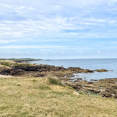 A L'ombre Des Pins, Neuf, Elegant, Parking Gratuit, Netflix, Au Calme A 100m De L'ocean * Les Sables-dʼOlonne