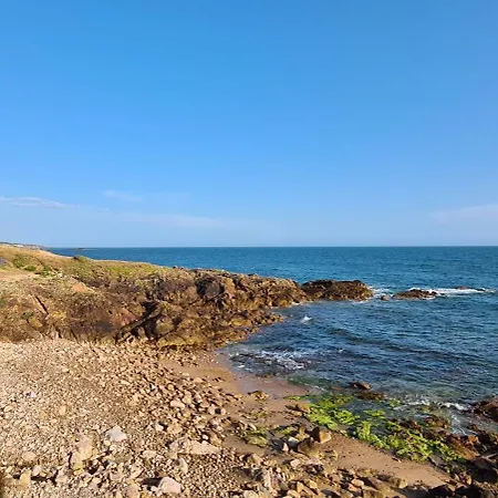 A L'ombre Des Pins, Neuf, Elegant, Parking Gratuit, Netflix, Au Calme A 100m De L'ocean Apartman *
