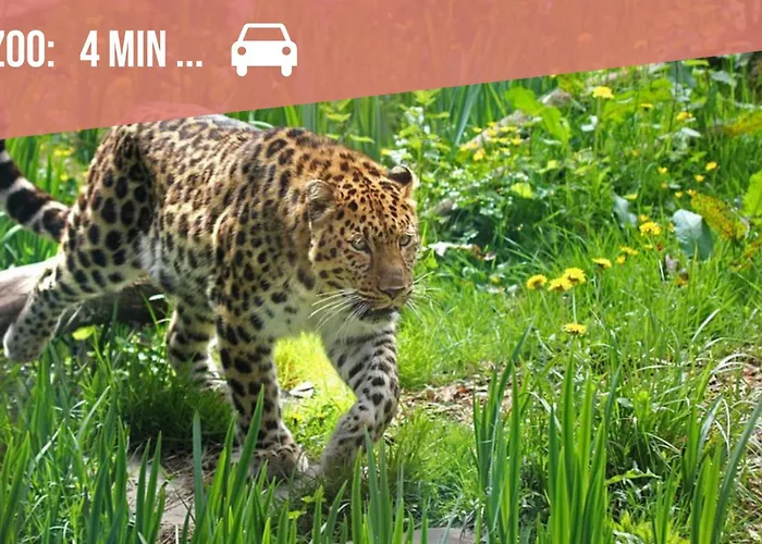 A L'ombre Des Pins, Neuf, élégant, Parking Gratuit, Netflix, Au Calme à 100m De L'océan * Les Sables-dʼOlonne
