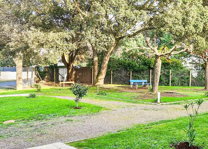 A L'ombre Des Pins, Neuf, élégant, Parking Gratuit, Netflix, Au Calme à 100m De L'océan *