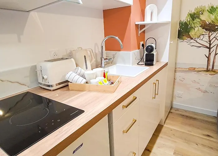 A L'ombre Des Pins, Neuf, élégant, Parking Gratuit, Netflix, Au Calme à 100m De L'océan *