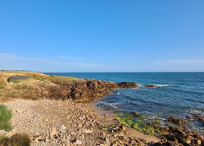 A L'ombre Des Pins, Neuf, élégant, Parking Gratuit, Netflix, Au Calme à 100m De L'océan Appartamento *